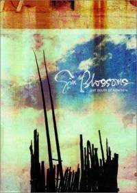 Gin Blossoms "Just South Of Nowhere" DVD