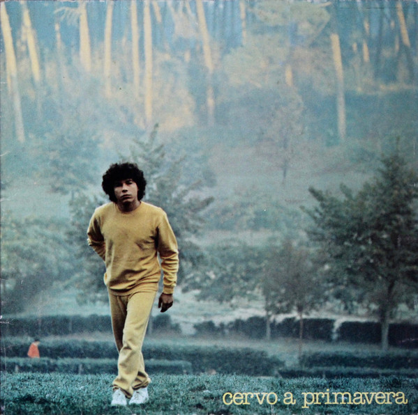 Riccardo Cocciante – Cervo A Primavera LP (1st Italy)
