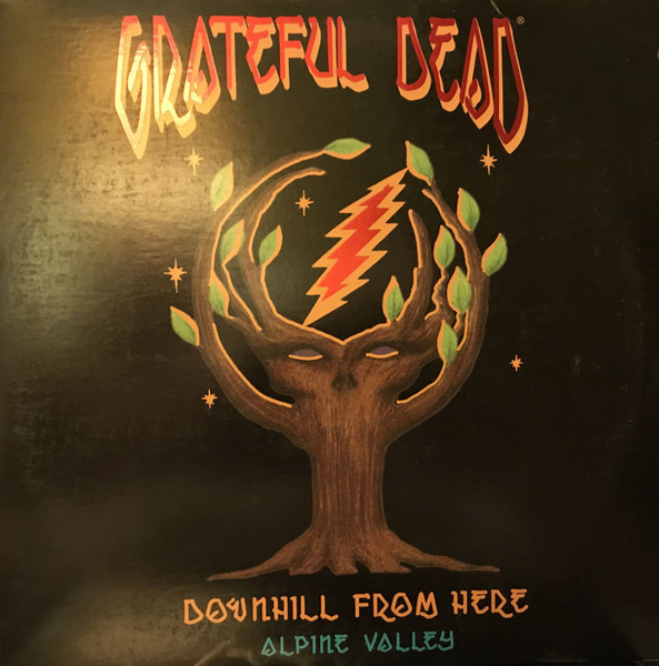 Grateful Dead – Downhill From Here - Alpine Valley LASERDISC