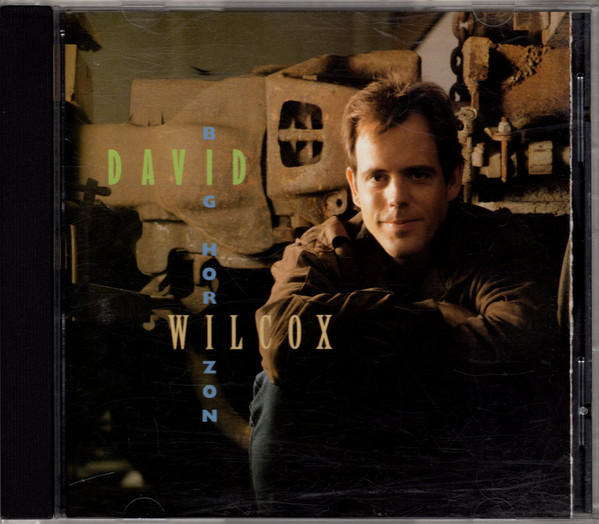 David Wilcox – Big Horizon CD